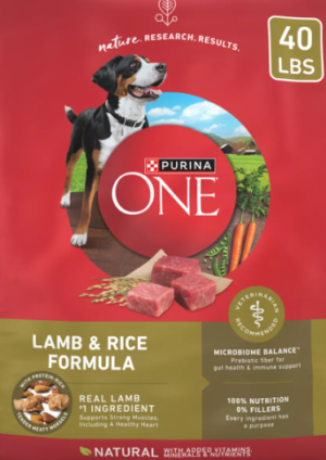 Purina ONE SmartBlend Natural Dry Dog Food - Lamb & Rice-SAMDAY1